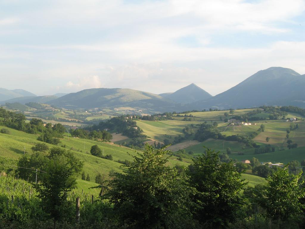 Locanda Dell'Istrice كاميرينو الغرفة الصورة